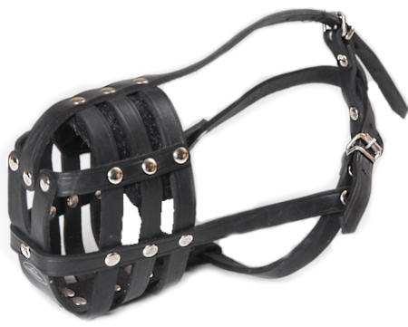 Dog Muzzle Leather Black 