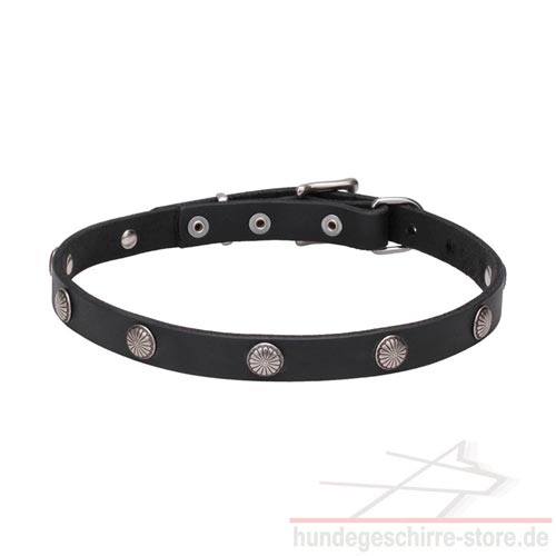 Nietenhalsband mit Zitrone Gravierung Top Qualität