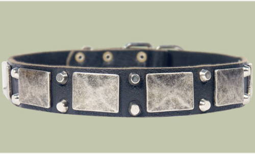 Hundehalsband leder