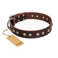 https://www.hundegeschirre-store.de/images/leder-halsband-fuer-hunde-auslauefe.jpg