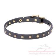 Enges Leder Hundehalsband mit winzigen Schmucken, elegant