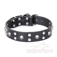 Hundehalsband aus Leder mit Verzierung im Pirat-Stil Hundehalsband aus Leder mit Verzierung im Pirat-Stil