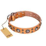 Halsband aus Leder für Hunde,