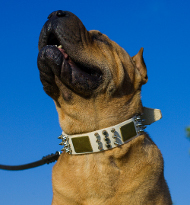 Hundehalsband aus Leder in Weiß, spitzenqualitativ und schön Hundehalsband aus Leder in Weiß, spitzenqualitativ und schön