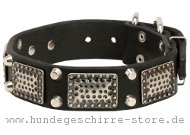 Leder Hundehalsband mit rechteckigen Platten und Pyramiden