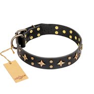 Leder Hundehalsband "A La Mode" FDT Artisan mit Sternen-Nieten