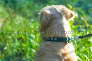Leder Hundehalsband für Golden Retriever mit Nieten-Dekor, zart Leder Hundehalsband für Golden Retriever mit Nieten-Dekor, zart