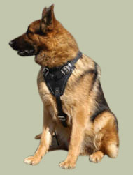 Hundegeschirr aus Leder für Deutschen Schäferhund, praktisch Hundegeschirr aus Leder für Deutschen Schäferhund, praktisch