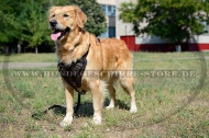 Leder Hundegeschirr für Golden Retriever für Dienstarbeit Leder Hundegeschirr für Golden Retriever für Dienstarbeit