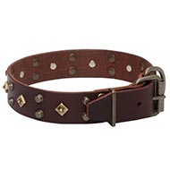 Halsband leder breit hundezubehör luxus kaufen