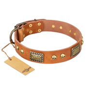 Hundehalsband aus Leder in ungewöhnlichem Design, tan Hundehalsband aus Leder in ungewöhnlichem Design, tan