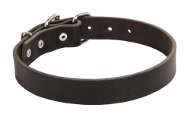 Hundehalsband aus Leder in klassischem Design, solid Hundehalsband aus Leder in klassischem Design, solid