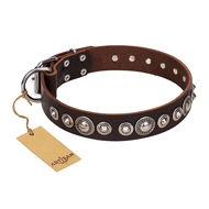 Leder Halsband für Hunde "Step and Sparkle" FDT Artisan in Brau Leder Halsband für Hunde "Step and Sparkle" FDT Artisan in Brau