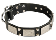 Hundehalsband aus Leder mit exklusiven Schmucken, solid Hundehalsband aus Leder mit exklusiven Schmucken, solid