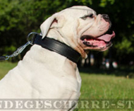 Leder Halsband für Hunde-Erziehung und Dressur, extraordinary Leder Halsband für Hunde-Erziehung und Dressur, extraordinary