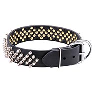 hundehalsband leder spike design kaufen