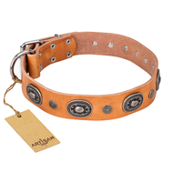 Hundehalsband aus Leder "Twinkle Twinkle" FDT Artisan, tan Hundehalsband aus Leder "Twinkle Twinkle" FDT Artisan, tan