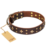 https://www.hundegeschirre-store.de/images/leder-hundehalsband-in-braun-mit-schmucken.jpg