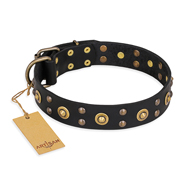 https://www.hundegeschirre-store.de/images/leder-hundehalsband-in-schwarz-verziert.jpg