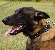 Hunde Lederhalsband | Belgischer Schäferhund Halsband ☰