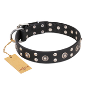 Hundehalsband Leder "Refined Essence" FDT Artisan in Schwarz Hundehalsband Leder "Refined Essence" FDT Artisan in Schwarz
