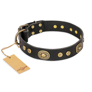 Hundehalsband aus Leder "Golden Radiance" FDT Artisan, schwarz Hundehalsband aus Leder "Golden Radiance" FDT Artisan, schwarz