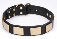 Leder Hundehalsband mit handverzierter Fläche, extraordinär