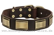 Hundehalsband aus Leder mit einzigartiger Verzierung