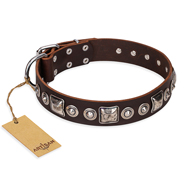 Hundehalsband Leder "Pierian spring" FDT Artisan in Braun Hundehalsband Leder "Pierian spring" FDT Artisan in Braun