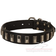 Hundehalsband aus Leder mit schönen Schmuck-Elementen