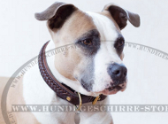 Hundehalsband aus Leder mit akkuratem Geflecht für Amstaff Hundehalsband aus Leder mit akkuratem Geflecht für Amstaff