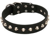 Hundehalsband Leder breit mit rostfreiem Pyramiden-Dekor Hundehalsband Leder breit mit rostfreiem Pyramiden-Dekor