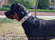 Leder Hundehalsband weiß für Rottweiler, handverziert Leder Hundehalsband weiß für Rottweiler, handverziert