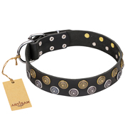 https://www.hundegeschirre-store.de/images/leder-hundehalsband-mit-wunderschoenem-dekor-bequem.jpg