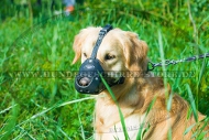 Maulkorb aus Leder gepolstert für Golden Retriever, abriebfest Maulkorb aus Leder gepolstert für Golden Retriever, abriebfest