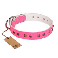 Hundehalsband Leder breit "Sheer love" FDT Artisan in Rosa Hundehalsband Leder breit "Sheer love" FDT Artisan in Rosa