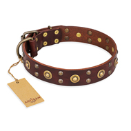 Leder Hundehalsband "Caprice of Fashion" FDT Artisan in Braun Leder Hundehalsband "Caprice of Fashion" FDT Artisan in Braun