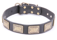 Hundehalsband aus Leder mit "veralteten" Platten, extraordinär Hundehalsband aus Leder mit "veralteten" Platten, extraordinär