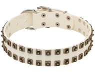 Hundehalsband Leder weiß mit akkuratem Nieten-Dekor Hundehalsband Leder weiß mit akkuratem Nieten-Dekor