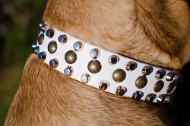 Hundehalsband aus Leder in wunderschönem Design, weiß Hundehalsband aus Leder in wunderschönem Design, weiß