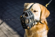 Leder Maulkorb für Golden Retriever vernietet und gepolster Leder Maulkorb für Golden Retriever vernietet und gepolster