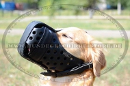Maulkorb Leder mit Vorderteil-Verstärkung für Golden Retriever Maulkorb Leder mit Vorderteil-Verstärkung für Golden Retriever