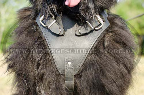 Solid Leather Harness Newfoundland H1