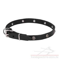 Buy
Studded dog collars made of genuine leather