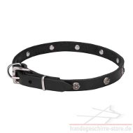 Buy
Studded dog collars made of genuine leather