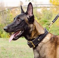 Hundehalsband mit Zopf-Design - Qualität und Schönheit Hundehalsband mit Zopf-Design - Qualität und Schönheit