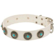 White Studded Collar
Leather