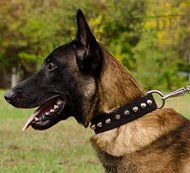 Hunde Nylonhalsband für Malinois mit Kegelstumpfen Hunde Nylonhalsband für Malinois mit Kegelstumpfen