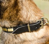 Hunde Lederhalsband | Malinois Halsband mit Messing-Platten 2014 Hunde Lederhalsband | Malinois Halsband mit Messing-Platten 2014