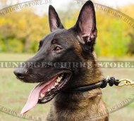 Choke Collar | Leather Dog Collar for Dog Show 2023